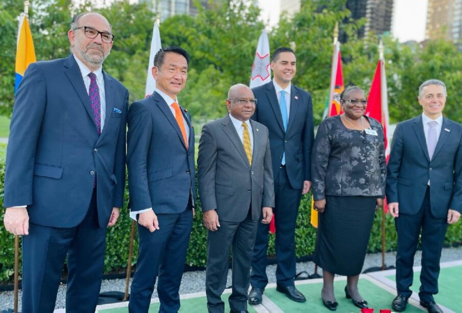 Mozambique, Ecuador, Japan, Malta, Switzerland elected to UN Security Council