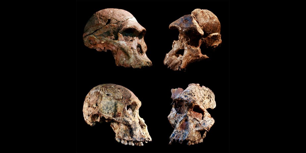 Humankind May Have Originated in South Africa, Study Suggests