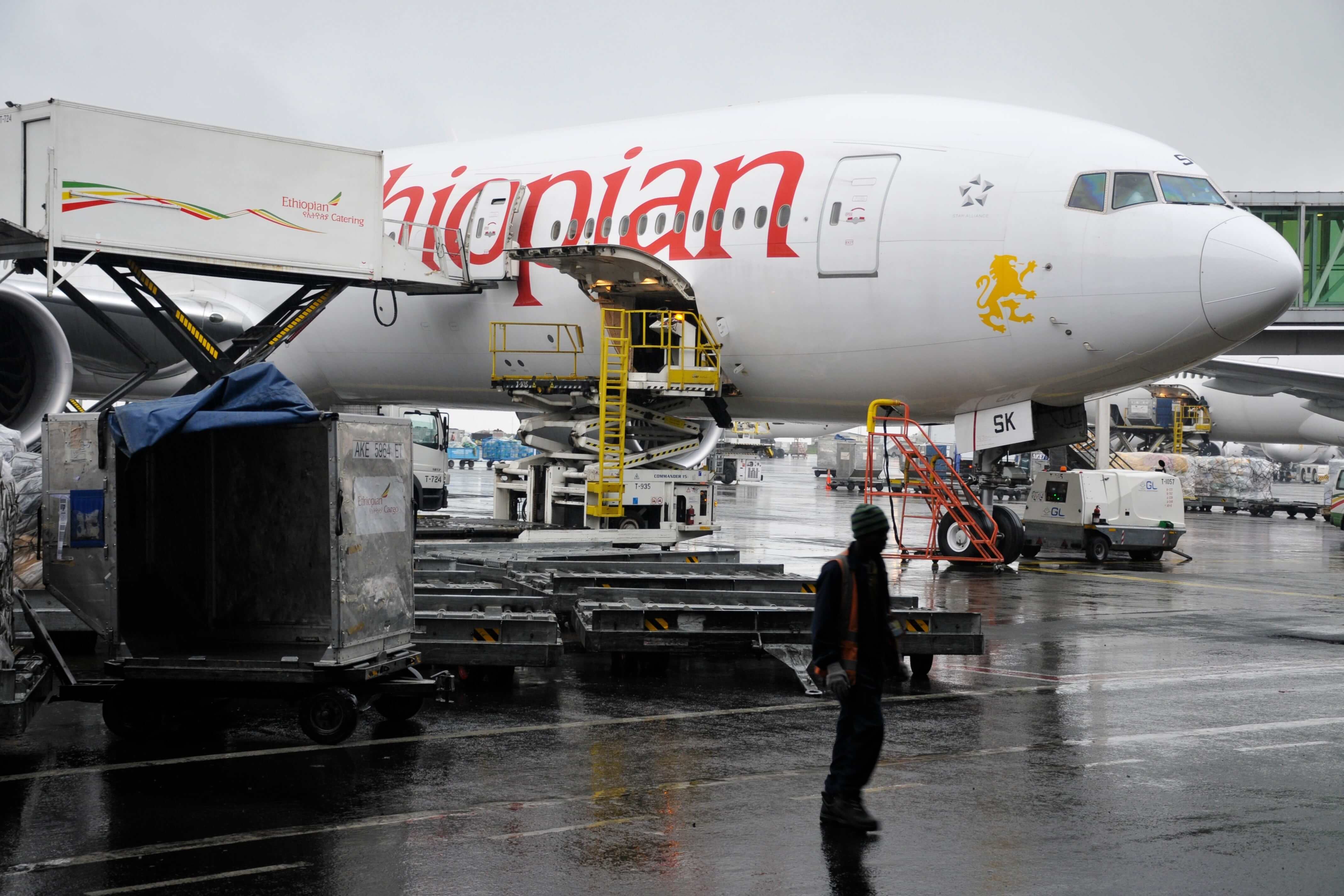 Ethiopian Airlines to resume flights to Tigray as peace holds