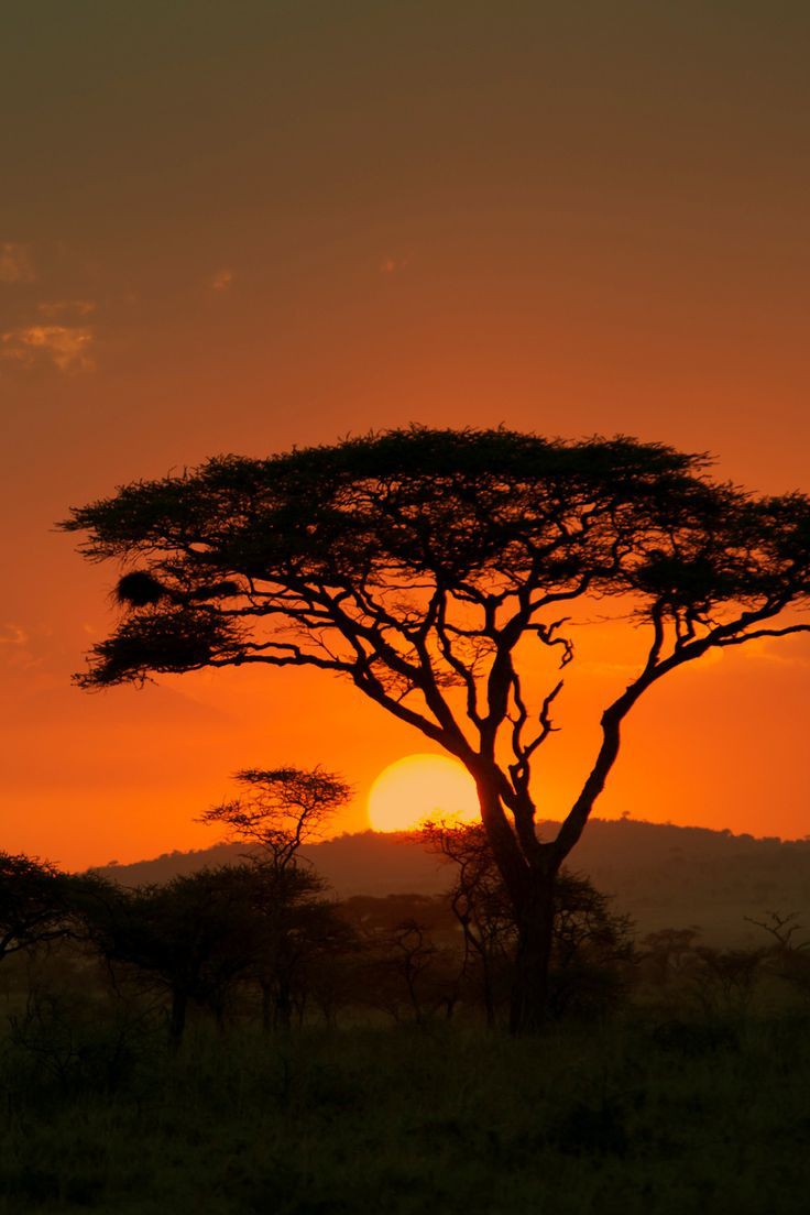 Africa anticipate Better days ahead as Banks Predict stronger economic growth for the continent in 2023