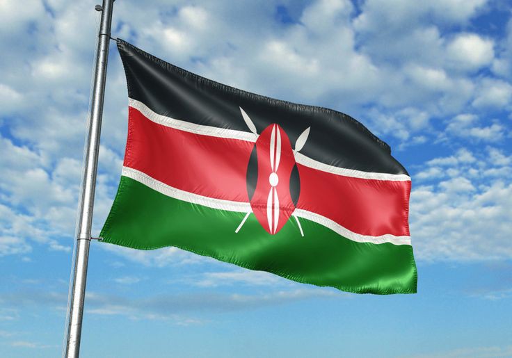 Kenya embarks on major financial policy review to boost revenue.