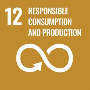 Examining Zambia's Progress in SDG Goal 12