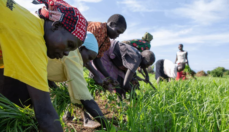 A New Strategy for Tackling Food and Nutrition Security Crises in South Sudan