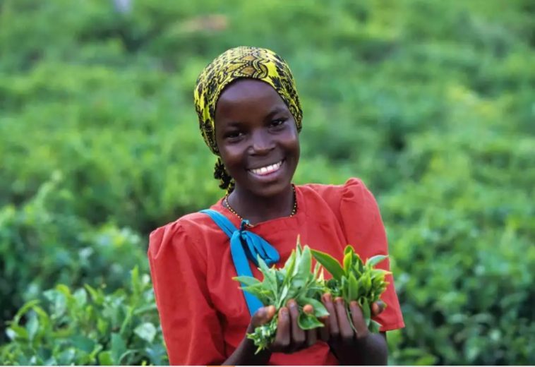 Africa and the agricultural revolution towards food security