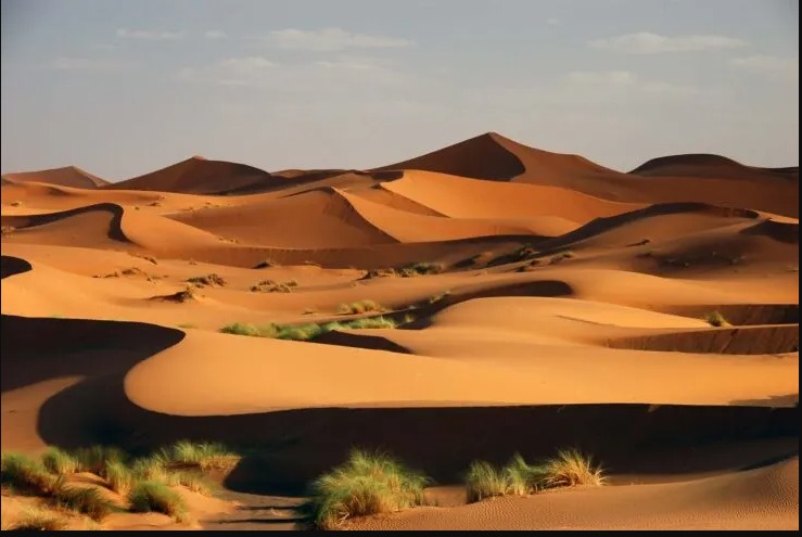 The Resourcefulness of African Deserts