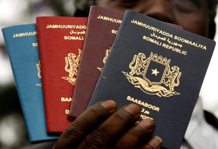 Is an African Shared Passport and Currency Feasible?