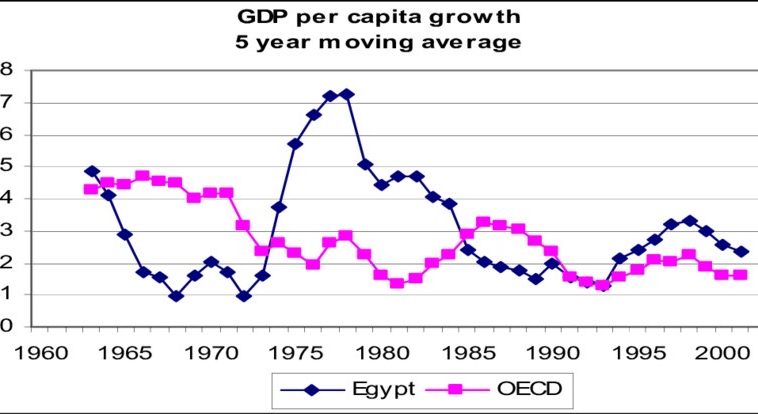 Egypt’s Economic Growth and the Private Sector factor
