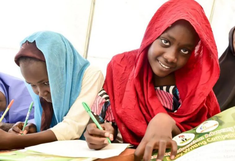 STEM: The question of the Girl Child education in Niger, Chad and Sudan
