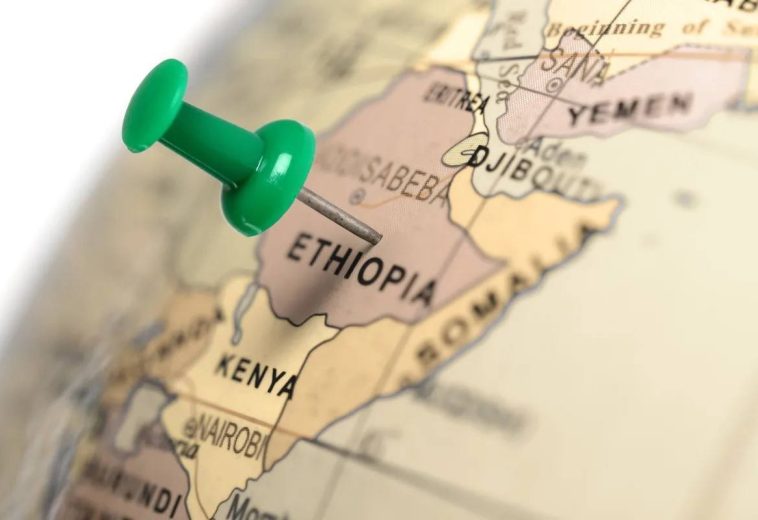 A glimpse at investment opportunities in Ethiopia