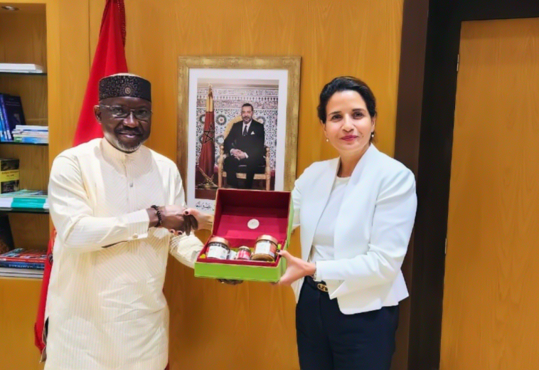 Africa’s Economic Transformation: Nigeria-Morocco Pipeline in Focus