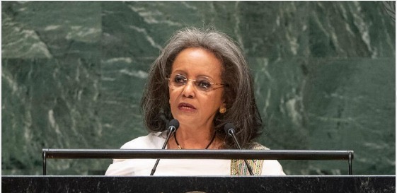 Something about Sahle-Work Zewde, President of Ethiopia