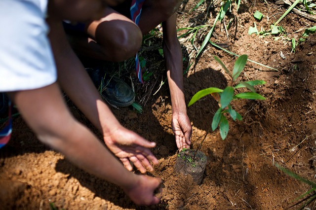 The Role of African Youths in Environmental Stewardship