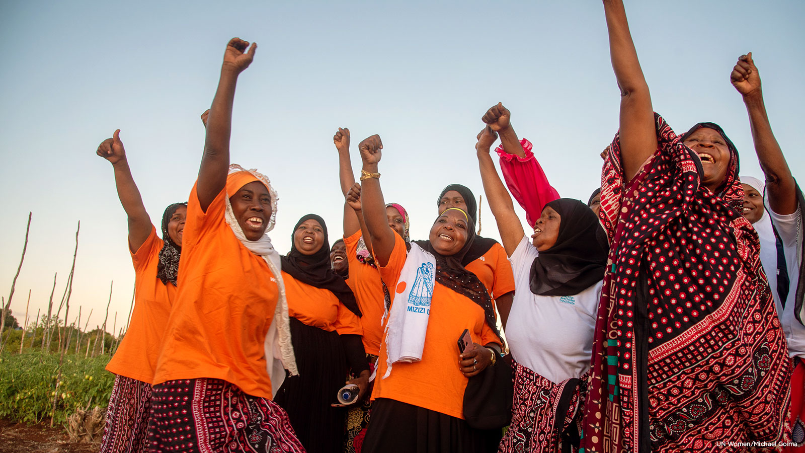 Women political leadership Nigeria