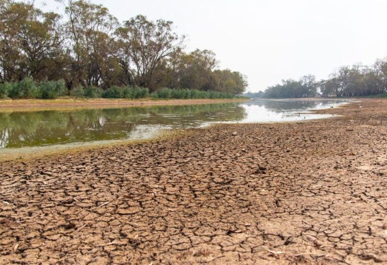 El Niño’s Threat to Africa’s Food Security