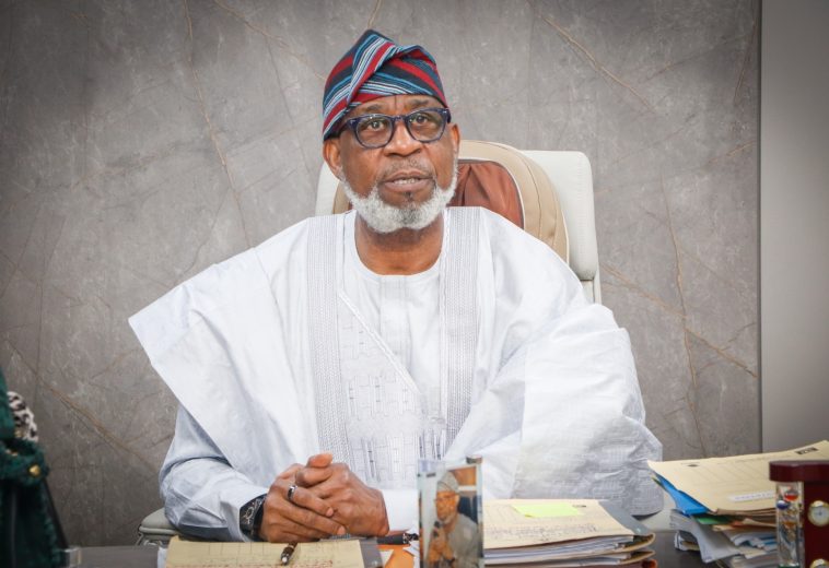 Nigeria’s Solid Minerals Minister, Dr Henry Dele Alake, Honoured with  African Leadership Award at Global Power Forum