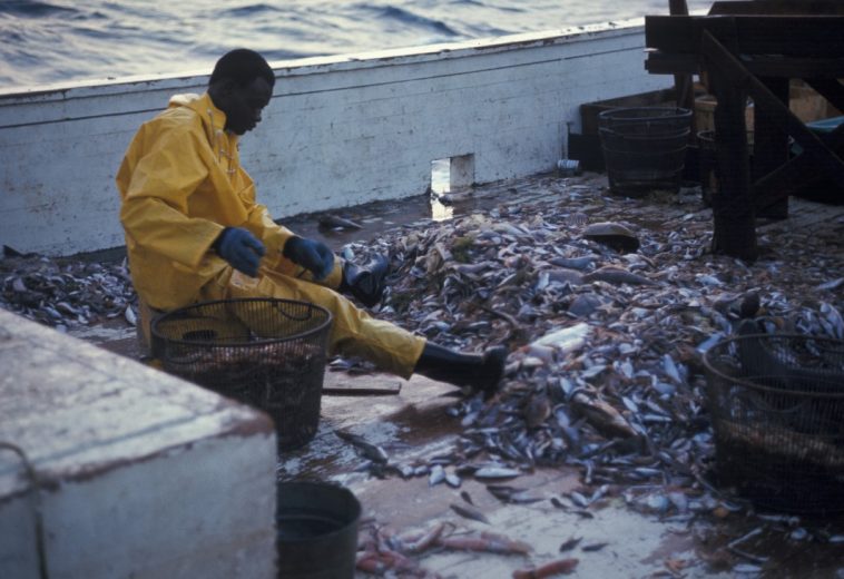 WTO Fisheries Deal and Its Impact on Africa’s Marine Future