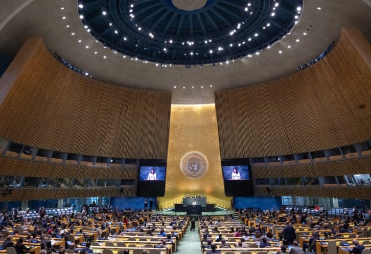 UNGA 80: What Africa Must Demand