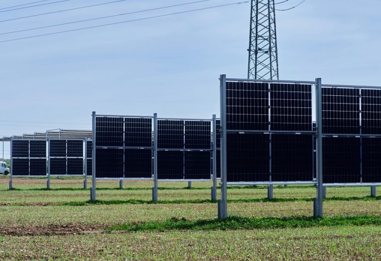 Africa’s Solar Take-Off: The Record Import Boom Rewiring the Continent