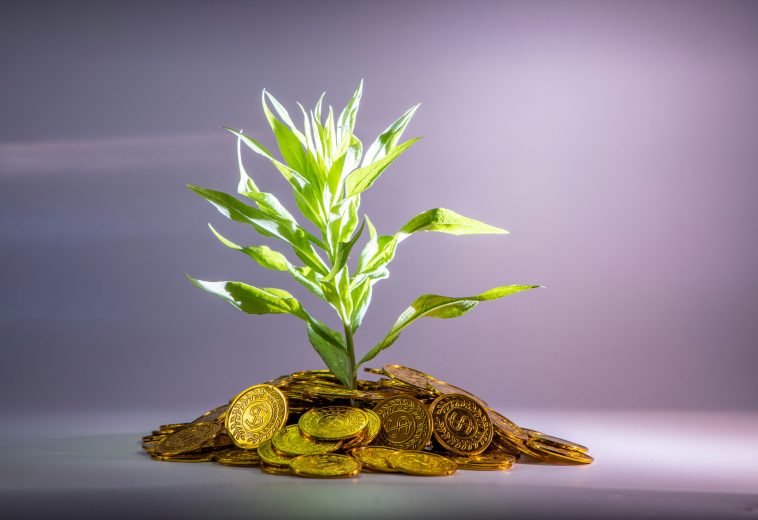 From Aid to Investment: Africa’s Defining Economic Shift in RMB’s 2025/26 Outlook