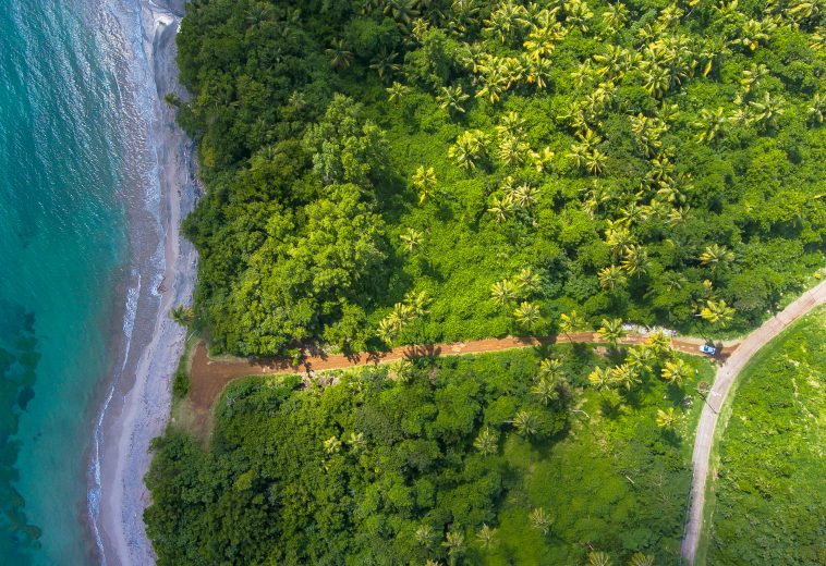 How Gabon’s $150 million Infini project strengthens Africa’s climate resilience