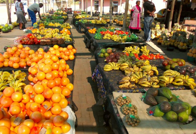 South Africa’s Inflation Cooldown and the Case for More Rate Cuts