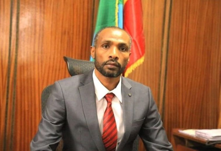 Biru Wolde Gujo and the Industrial Logic Reshaping Ethiopia’s Economy