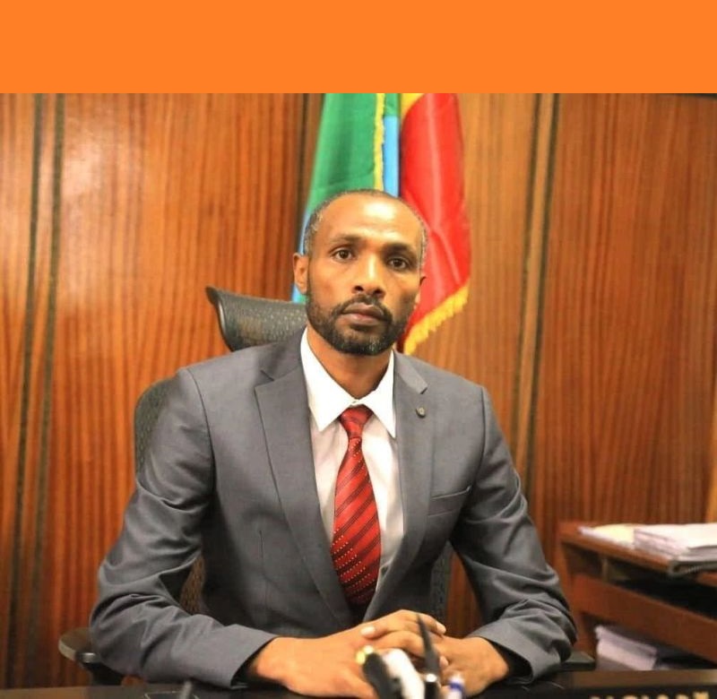 Biru Wolde Gujo and the Industrial Logic Reshaping Ethiopia’s Economy