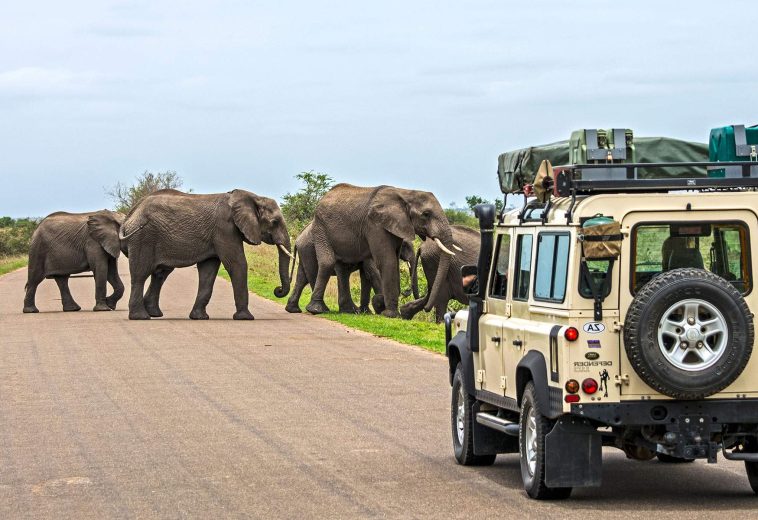 Africa Tourism Up by 8% as Global Travel Reaches a New Peak