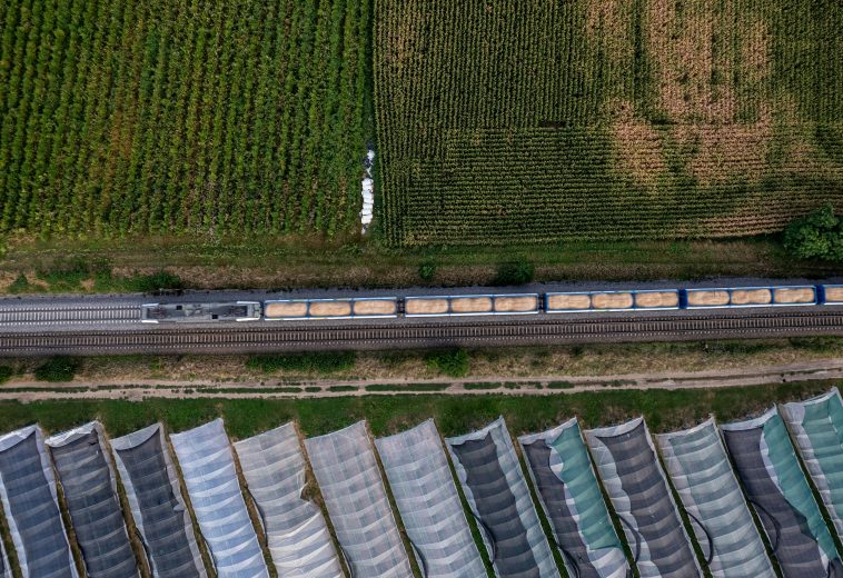 Ghana End-Harvest Deal: Strategic Shift from Raw Exports to Value Addition