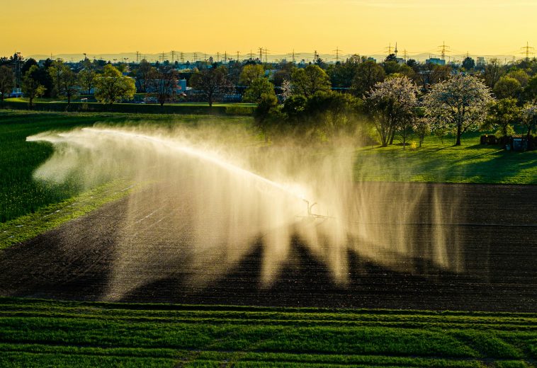 Africa’s AgTech Revolution Reshaping Food Systems