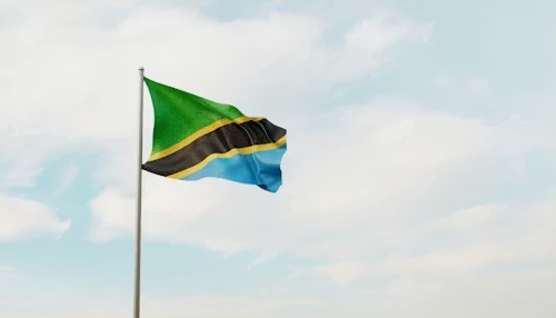 How Tanzania Uses Stability as a Policy Tool