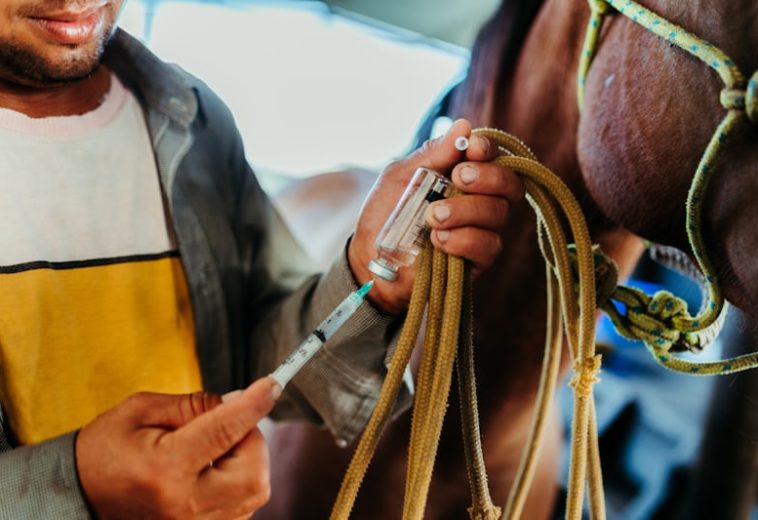 From Policy to Pasture: Tanzania’s Livestock Reform