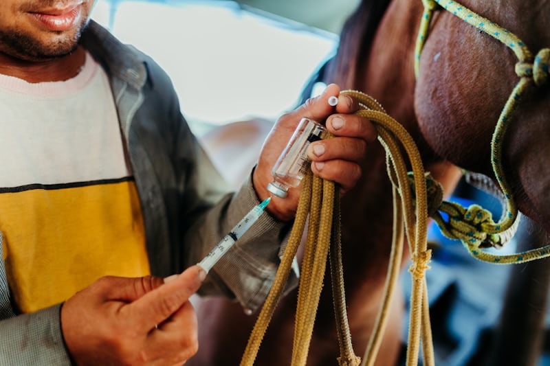 From Policy to Pasture: Tanzania’s Livestock Reform