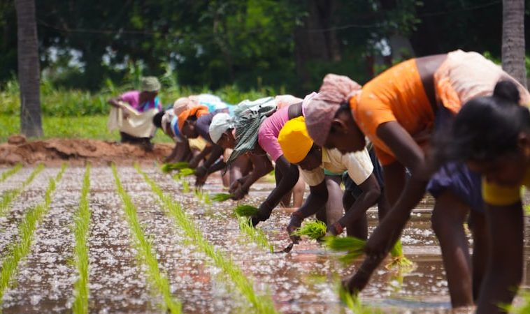 Kenya Champions Women-Led Agribusiness for Food Security and Inclusion