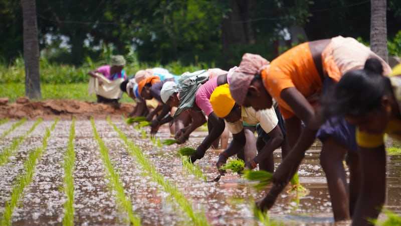 Kenya Champions Women-Led Agribusiness for Food Security and Inclusion