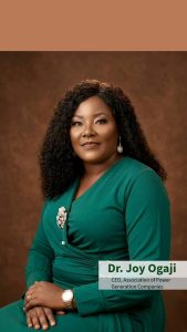 Nigeria’s Electricity Future: Dr. Joy Ogaji on Why Government and DisCos Must Act in Sync Now