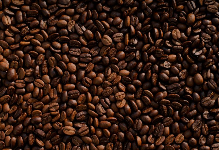 Uganda Becomes Africa’s Top Coffee Exporter, Overtaking Ethiopia