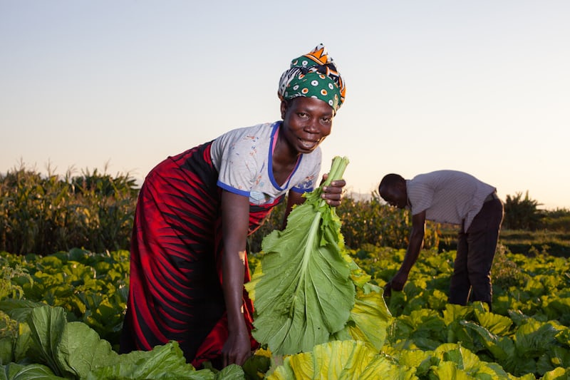 African Women Entrepreneurs Expand Opportunities Through Clean Energy and Agribusiness How Targeted Investments Are Supporting Sustainable and Inclusive Enterprise Growth