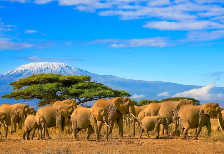 Tanzania’s Tourism Boom Drives Strong Economic Growth