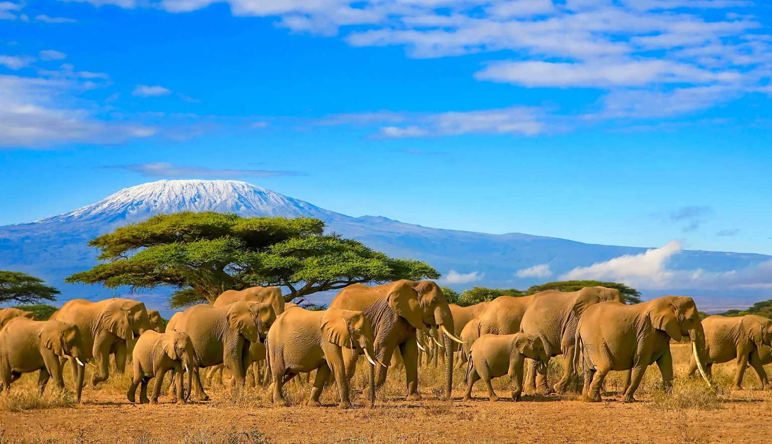 Tanzania’s Tourism Boom Drives Strong Economic Growth