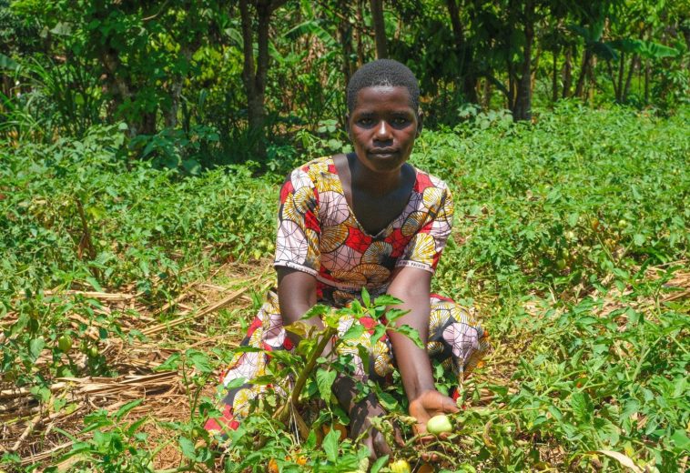 Uganda’s Agritech Revolution Powers Smarter Farming