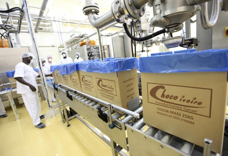 Côte d’Ivoire’s Cocoa Processing Push Drives Industrial Growth and Manufacturing