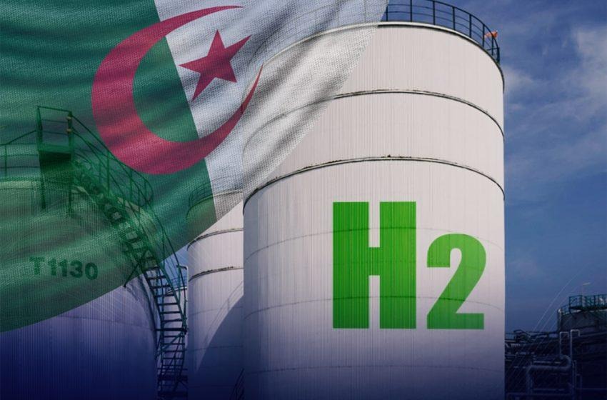 Algeria’s Renewable Energy Expansion Signals a Shift Beyond Oil Dependency