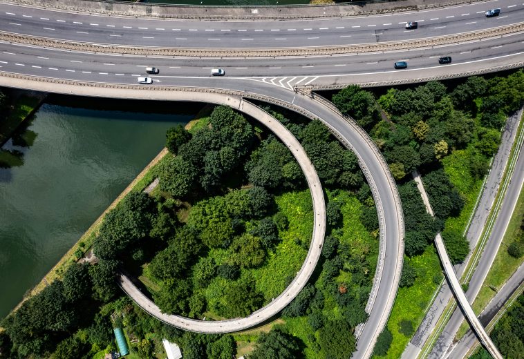 How Environmental Recovery Became Africa’s New Economic Engine