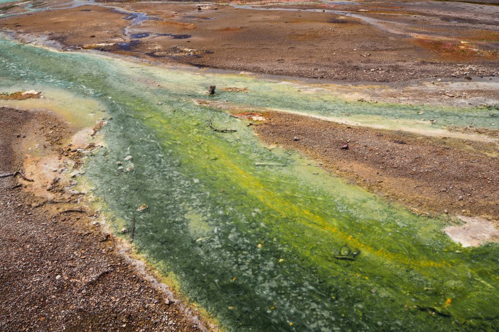 Can Africa’s Green Minerals Boom Deliver Sustainable Long-Term Prosperity?
