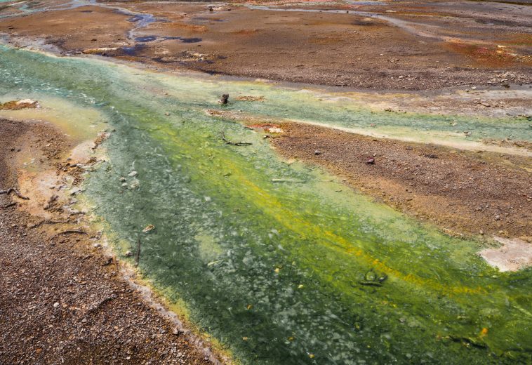 Can Africa’s Green Minerals Boom Deliver Sustainable Long-Term Prosperity?