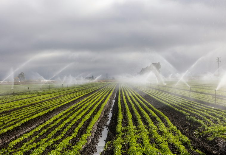 Climate-Smart Irrigation Becomes Africa’s Survival Strategy
