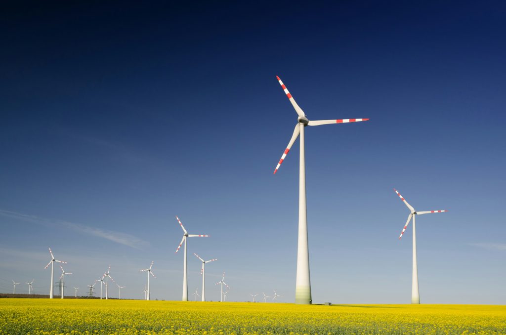 Kenya and France Seal Sh150bn Green Energy and Infrastructure Deals