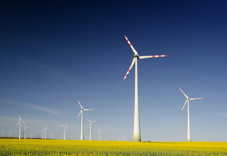 Kenya and France Seal Sh150bn Green Energy and Infrastructure Deals