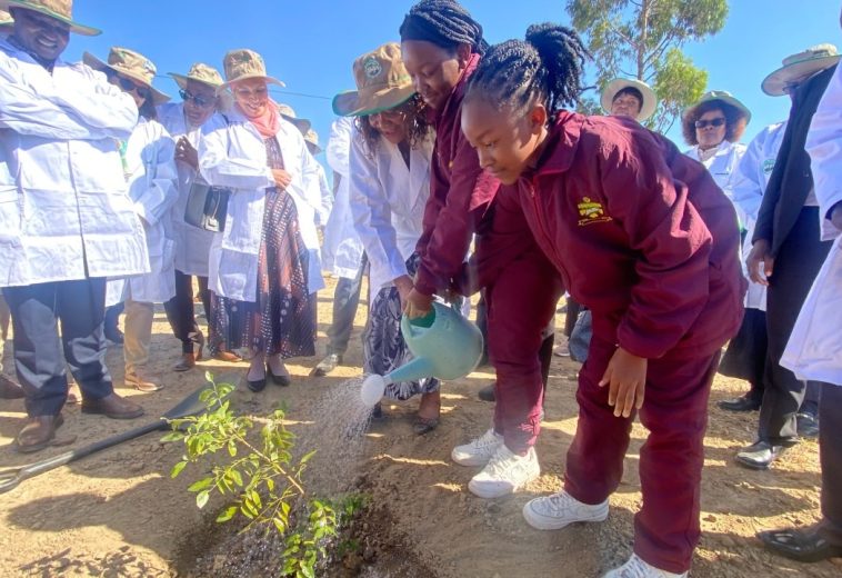 From Degraded Lands to Green Prosperity: Ethiopia’s Women at the Heart of Reforestation